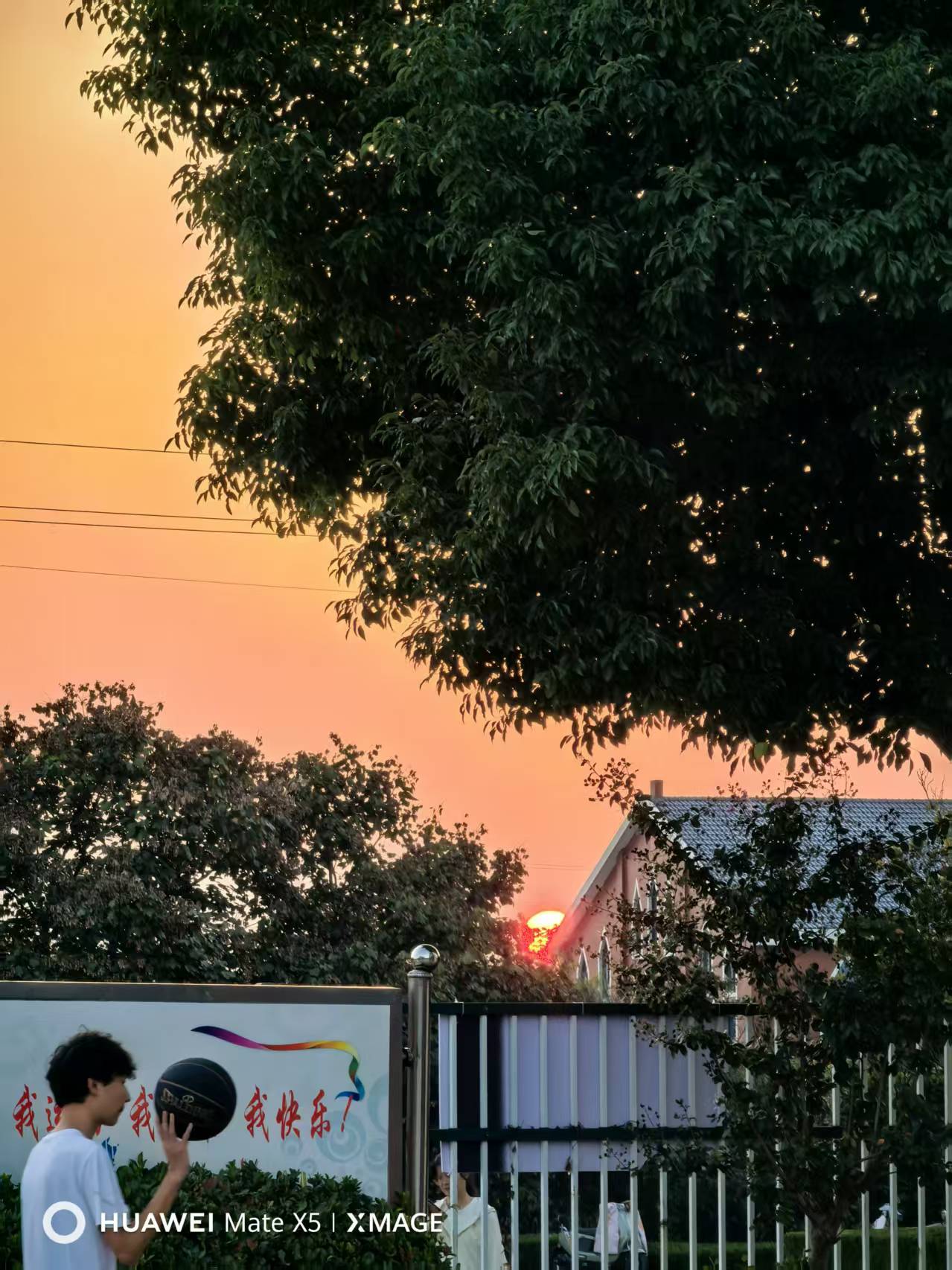 图片 /2015new/pic/5.jpg