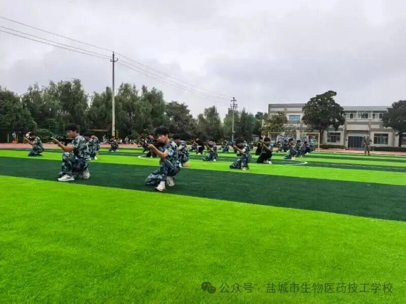 上传的图片