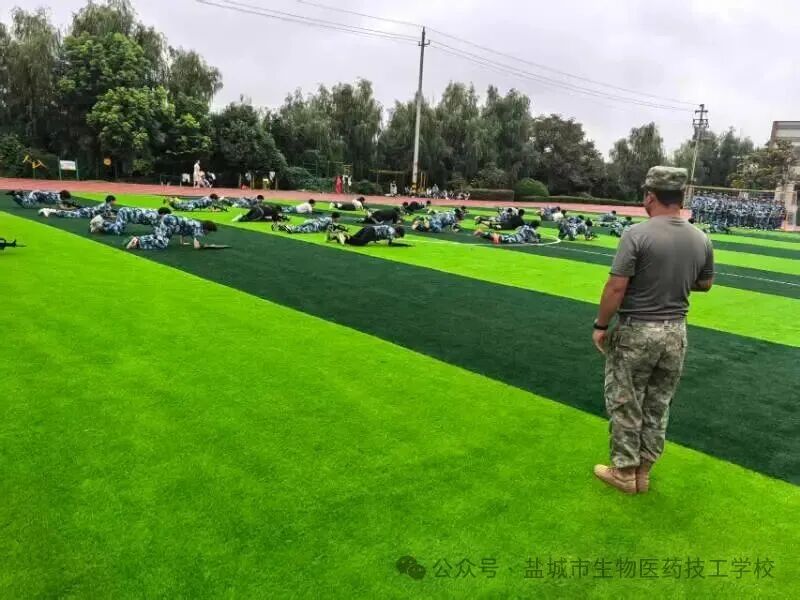 上传的图片