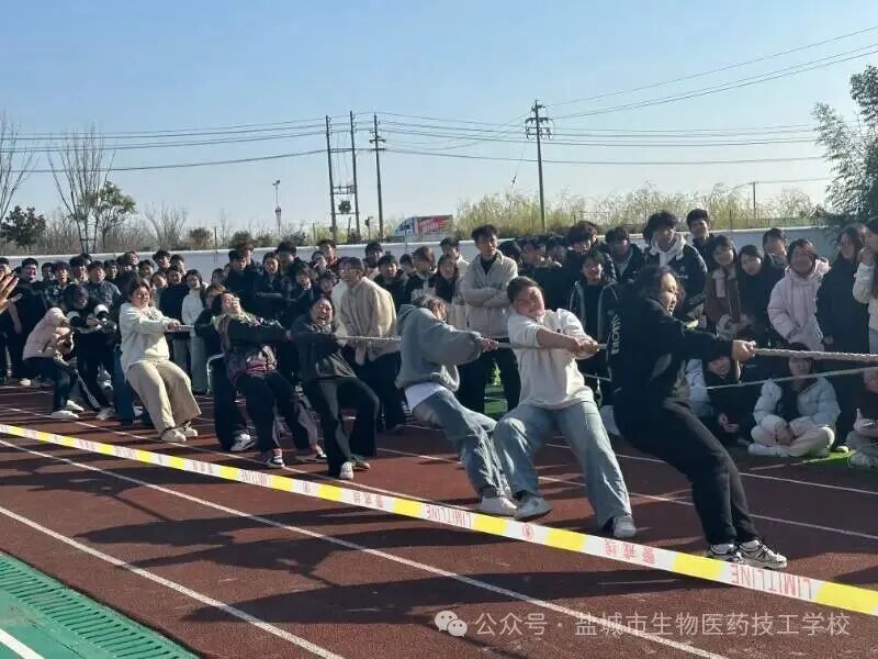 上传的图片