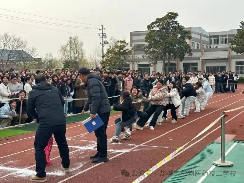 上传的图片