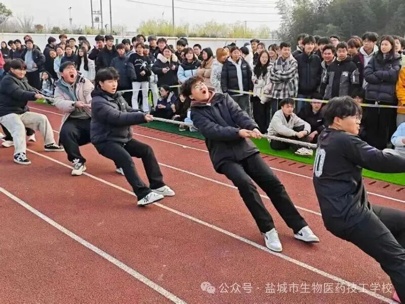 上传的图片