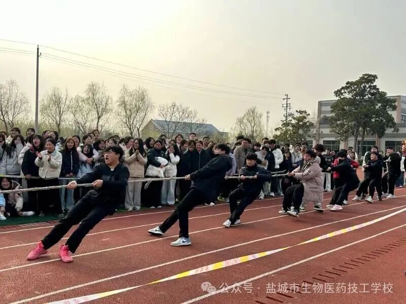 上传的图片