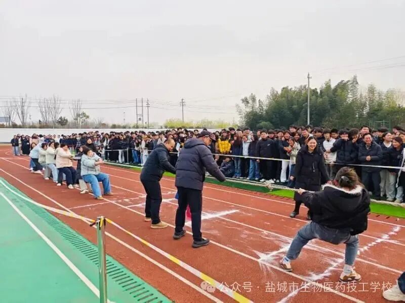 上传的图片