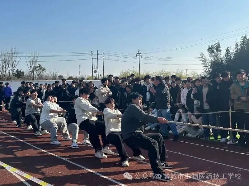上传的图片