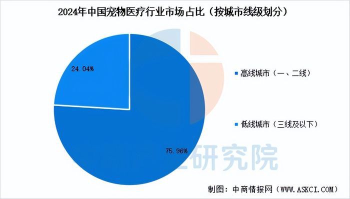 上传的图片