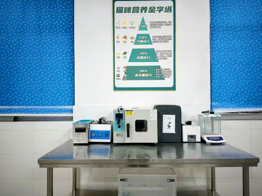 上传的图片