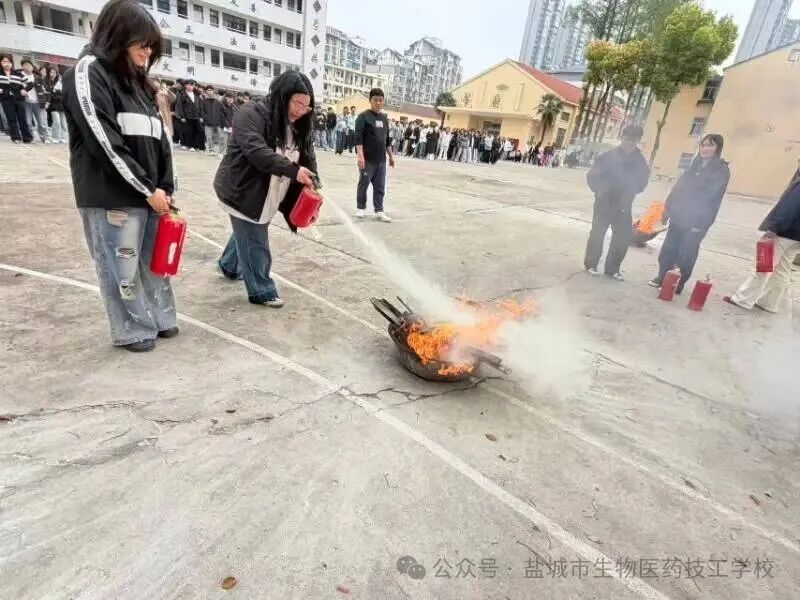 上传的图片